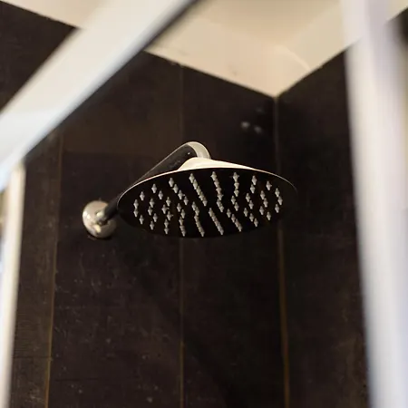 D'amelios 2.0 Nápoles