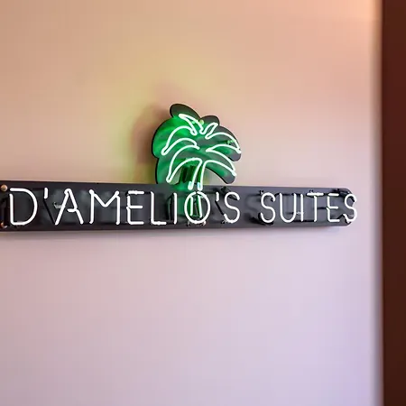 D'amelios 2.0 3*