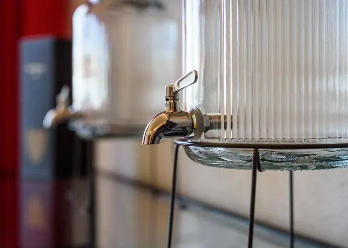 D'amelios 2.0 לינה וארוחת בוקר