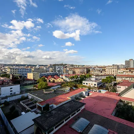 B&B D'amelios 2.0 3*