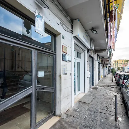 D'amelios 2.0 3* Naples