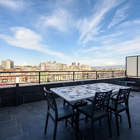 D'amelios 2.0 Naples